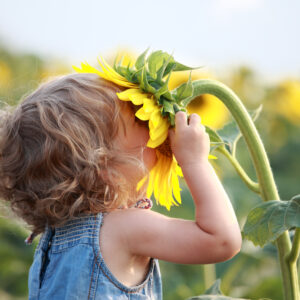 shutterstock_69211996 girl with sunflower